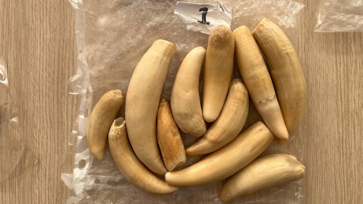 Фото: Федеральная таможенная служба