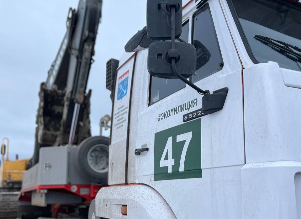 Фото: Эконадзор