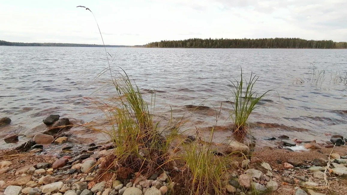 Новоладожский водовод: нереализованный, но всё ещё актуальный проект снабжения города и области чистой водой