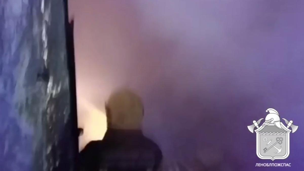 Скриншот видео: Леноблпожспас