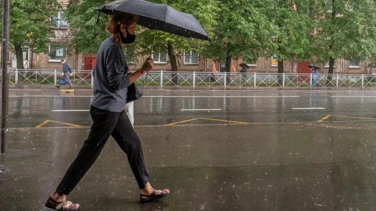 Фото: Олег Золото / MR7