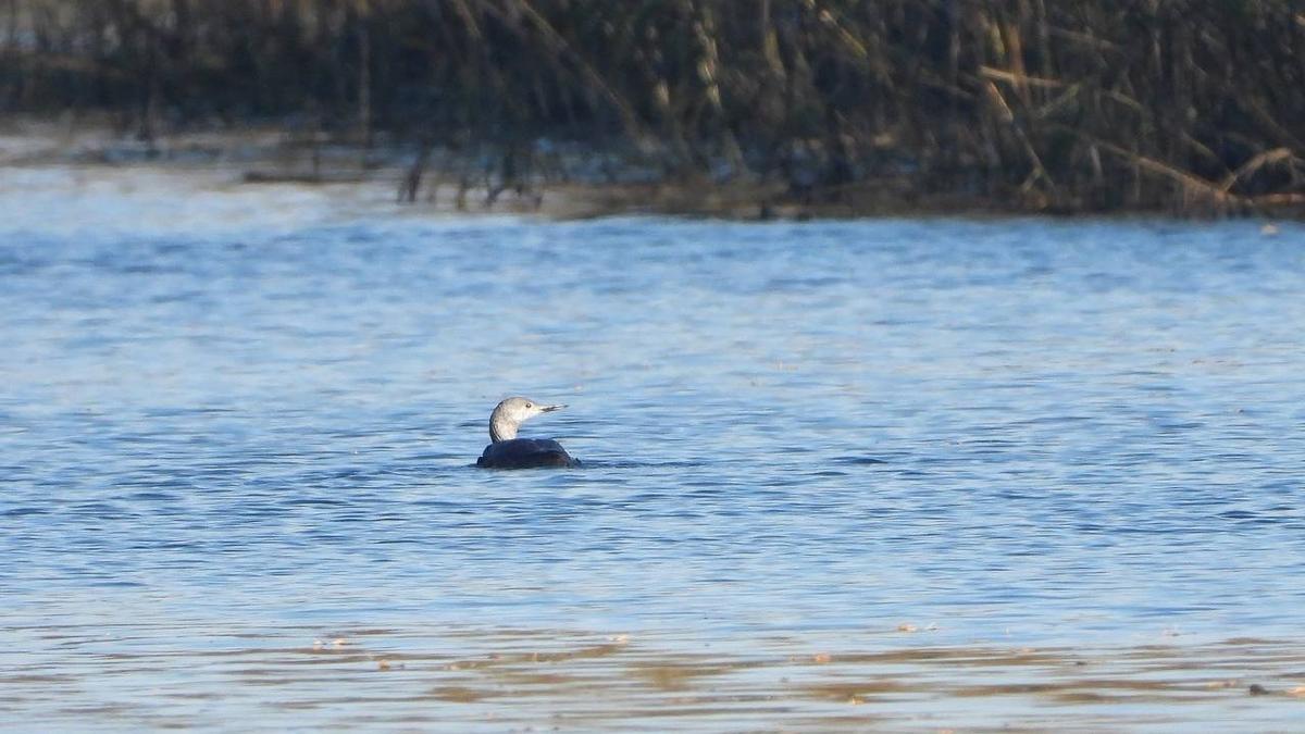 Фото: Вера Рыженкова