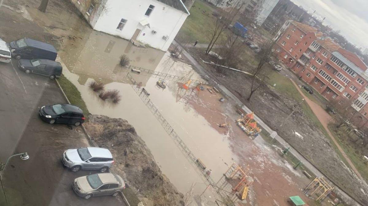 Фото: telegram-канал «Ржевка — Красногвардейский район СПб»