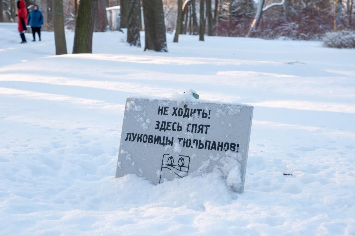 ЦПКиО им. Кирова. Фото: Олег Золото / MR7