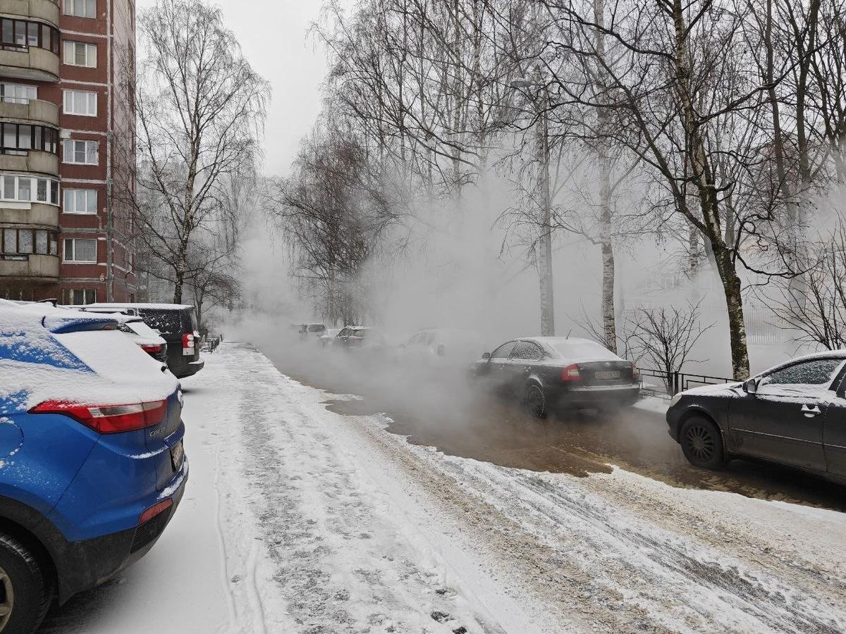Фото: «Я люблю Васильевский»