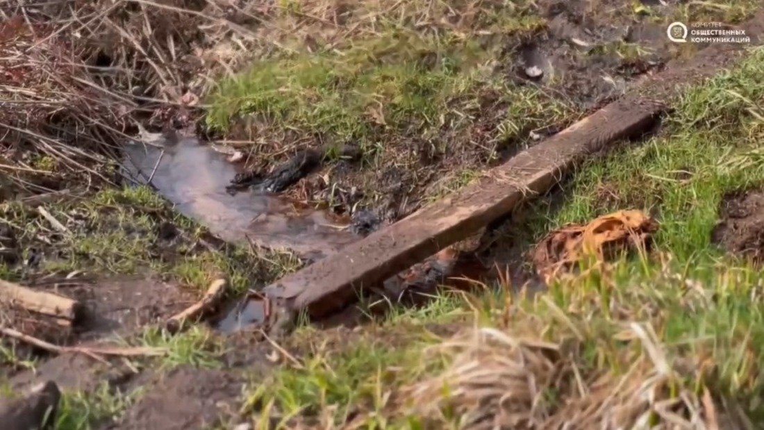 Скриншот из видео Комитета общественных коммуникаций Ленобласти