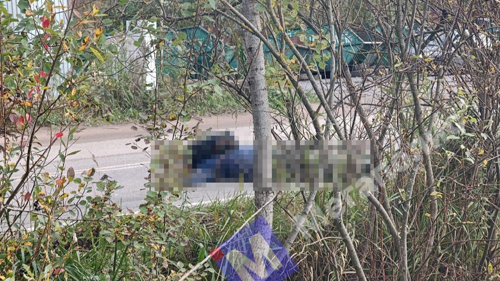Фото: «Мегаполис»
