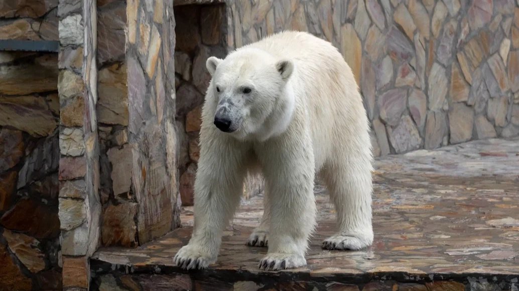 Фото: Олег Золото / MR7