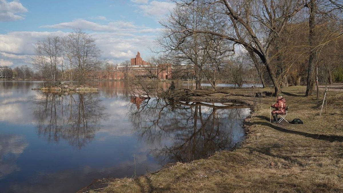 Фото: Павел Борисенко / МР7