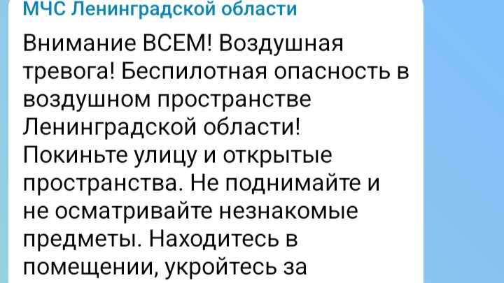 Скриншот: соцсети МЧС Ленобласти