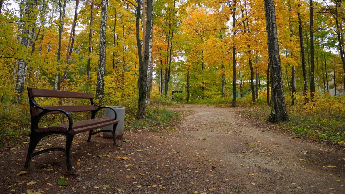 Фото: Дмитрий Абрамов / МР7