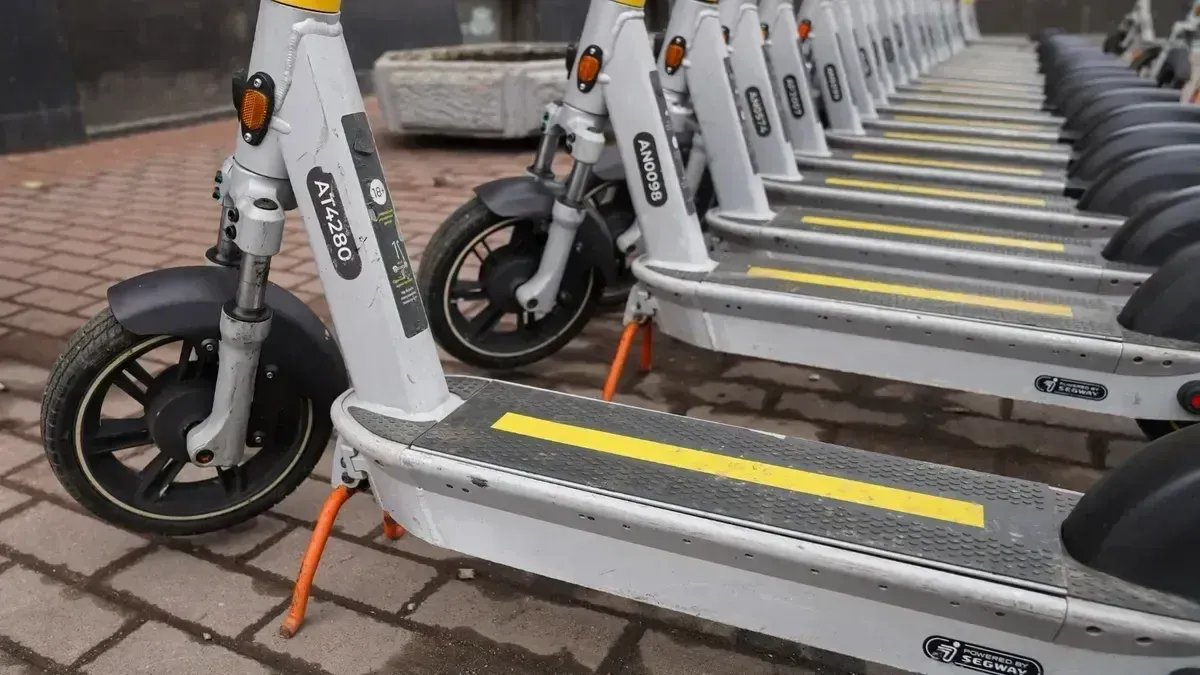 Фото: Виктория Арефьева / MR7