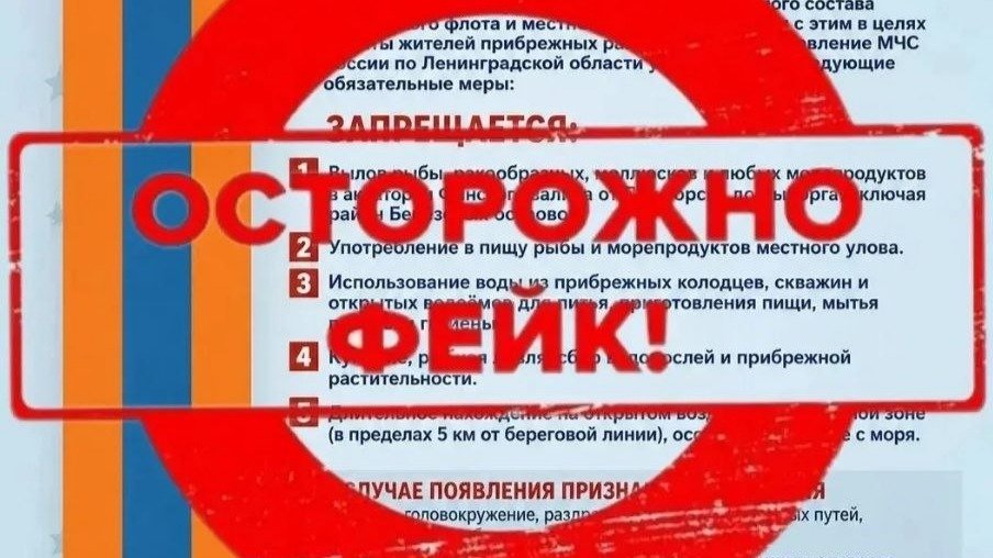 Изображение: МЧС Ленобласти