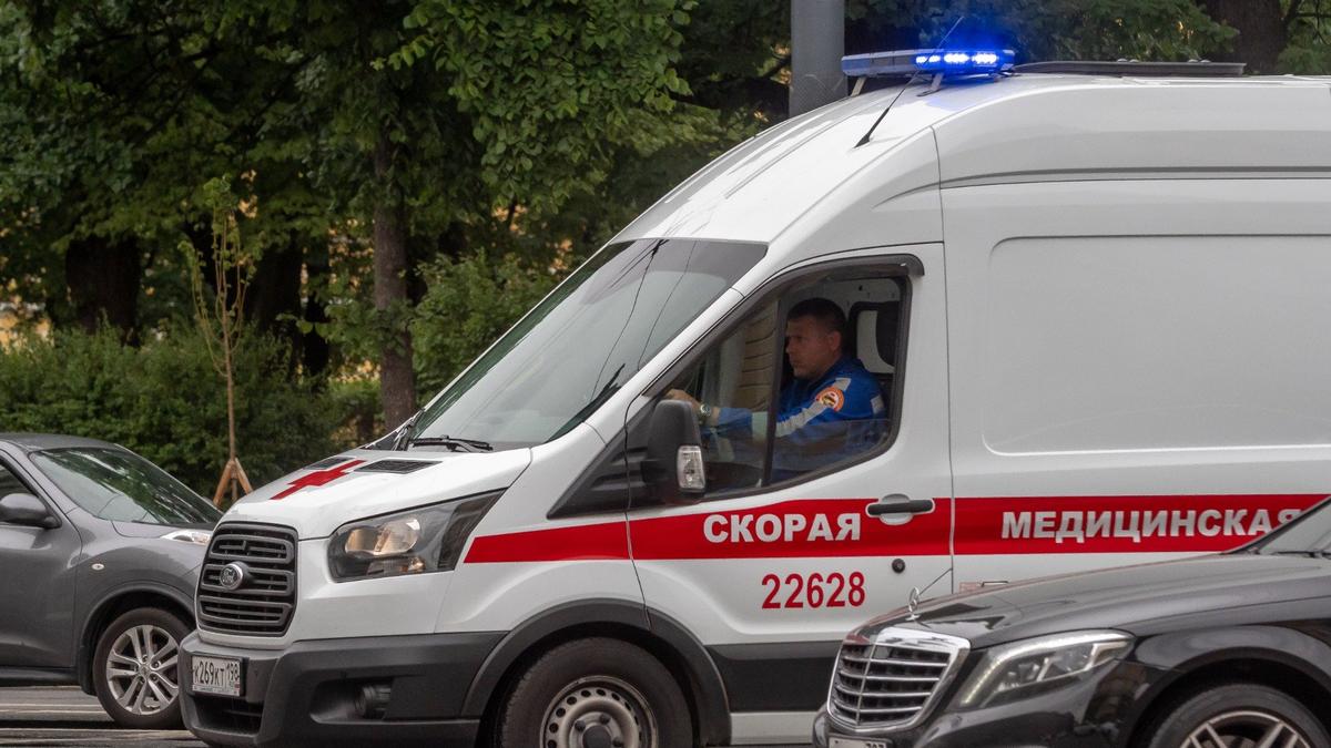 Фото: Олег Золото / МР7