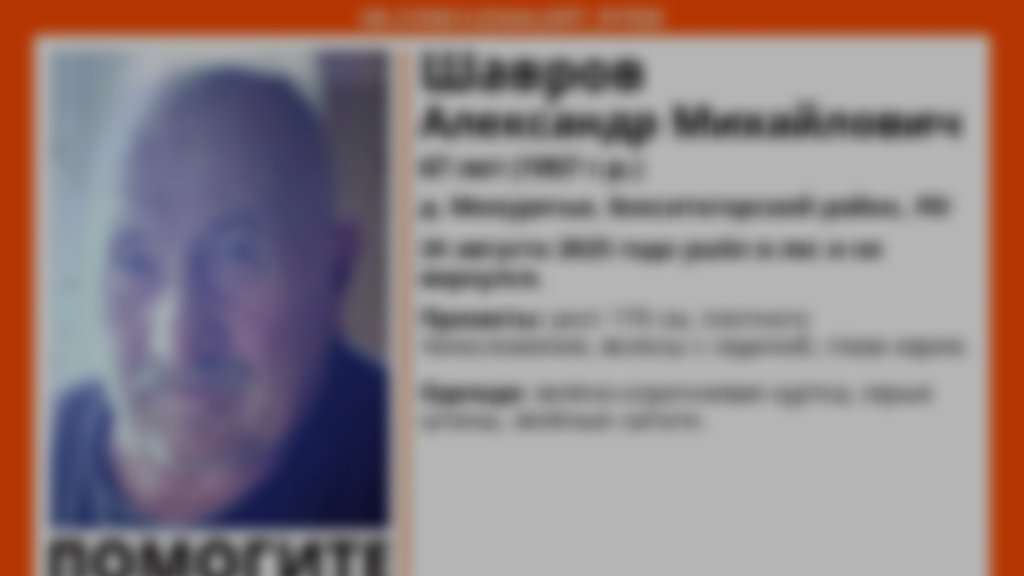 Иллюстрация: «ЛизаАлерт»