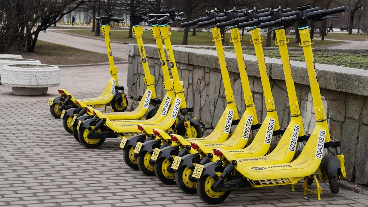 Фото: Виктория Арефьева / МР7