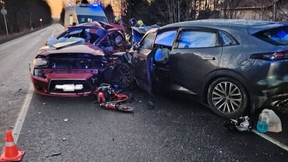 Фото: МЧС Ленобласти