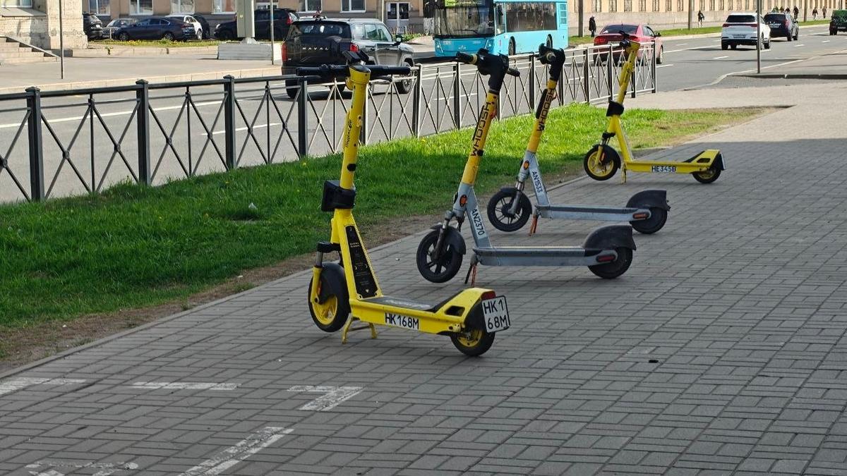 Фото: «Транспортный коллапс, Красное Село»