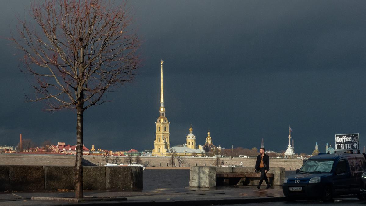 Почему в Петербурге 19 ноября стреляли