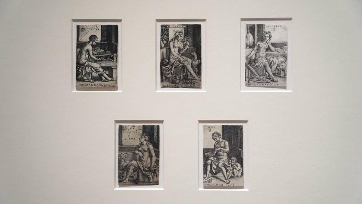 Фото: Павел Борисенко / МР7