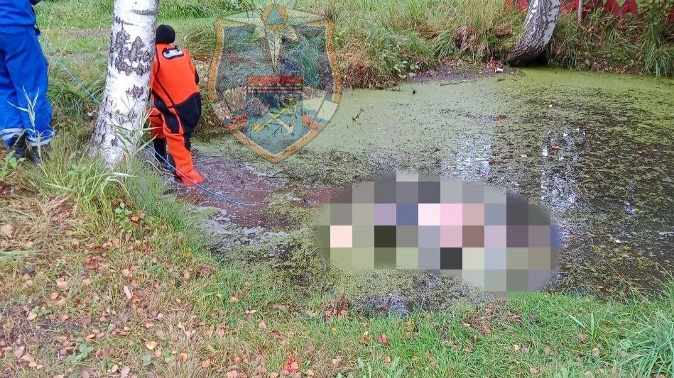 Фото: аварийно-спасательная служба Ленобласти
