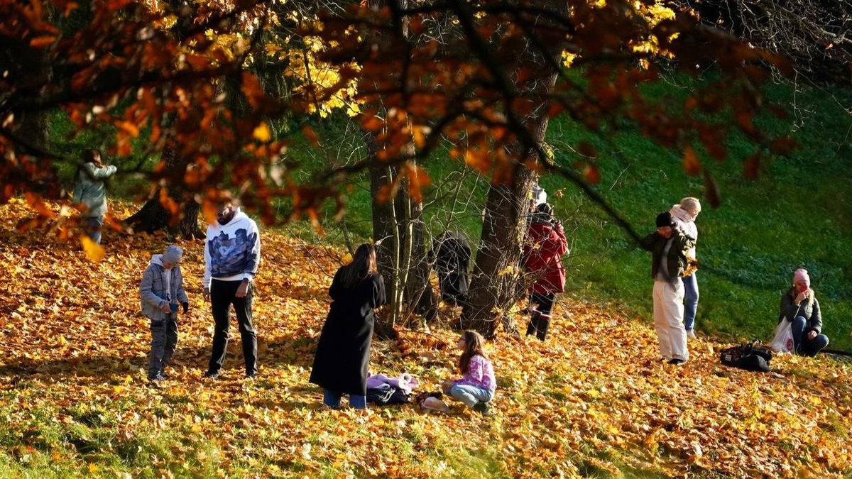 Время любования падающими листьями. Фоторепортаж из осеннего Павловска