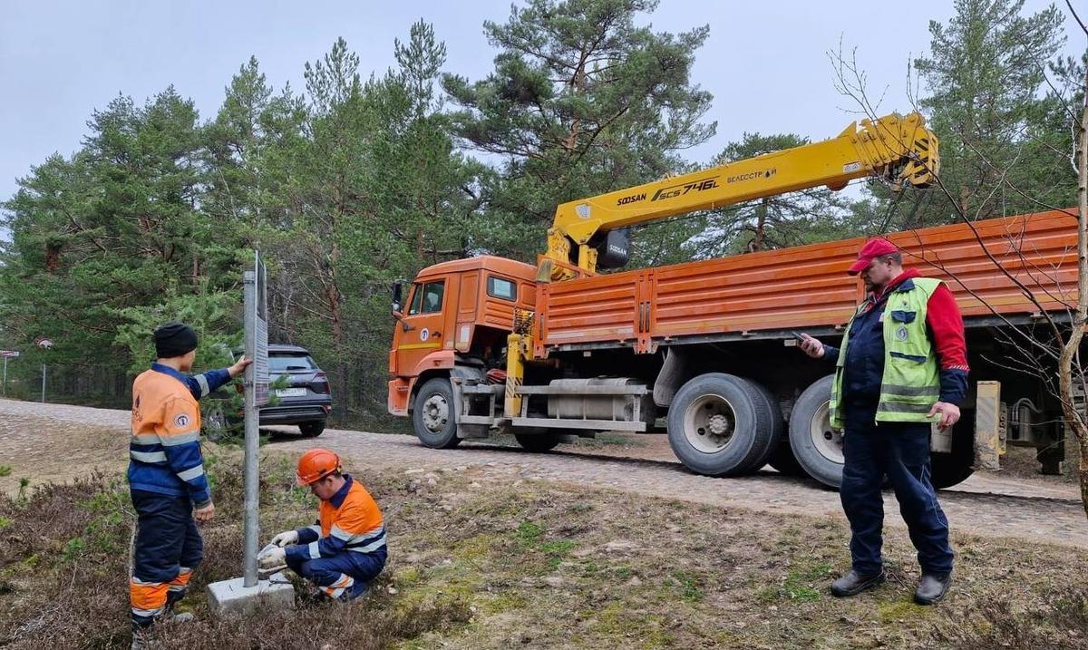 Фото: Фонд друзей балтийской нерпы