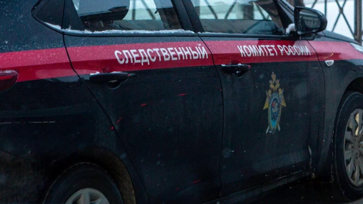 В Петербурге две женщины стали фигурантками новых дел о распространении фейков об армии