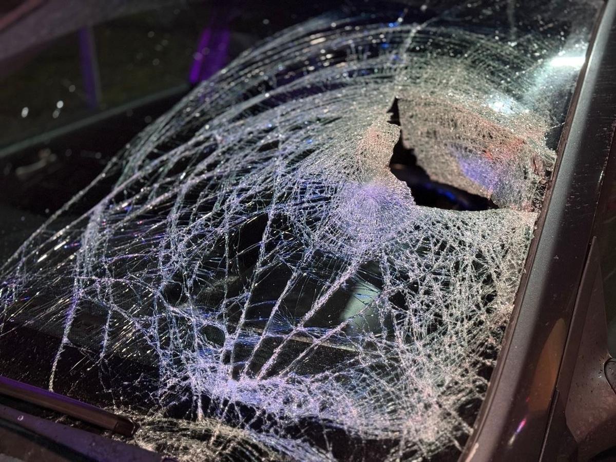 Фото: Госавтоинспекция СПб и ЛО