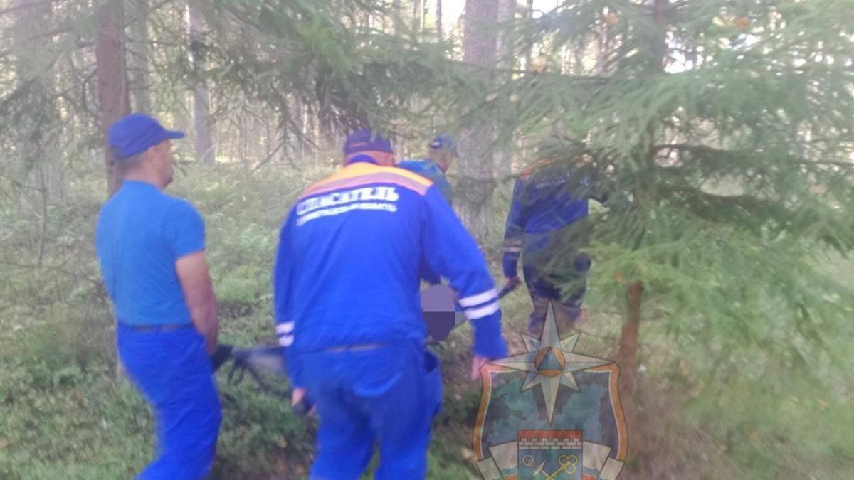 Фото: Аварийно-спасательная служба Ленобласти