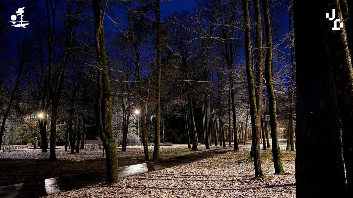 Фото: администрация Курортного района