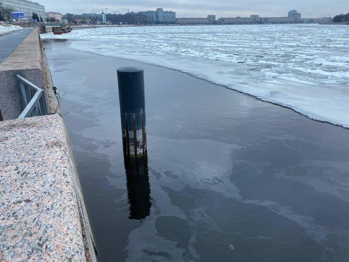 Фото: пресс-служба Росприроднадзора