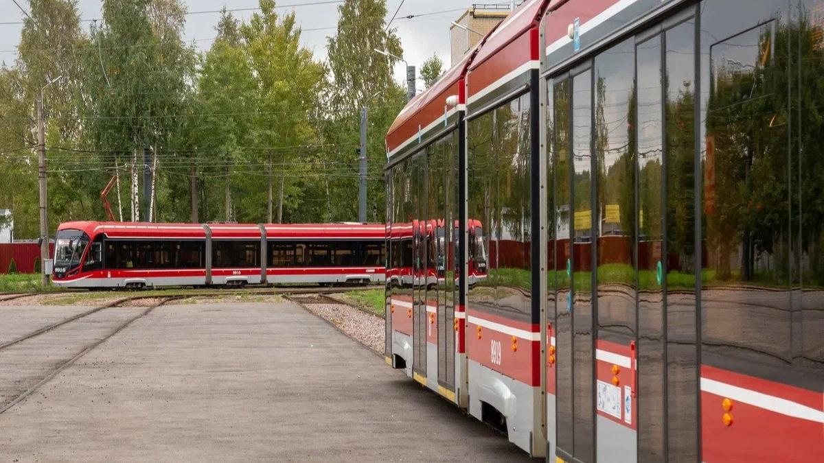 В Приморском районе разбили стекло автобуса, а в Красногвардейском — обстреляли трамвайную остановку