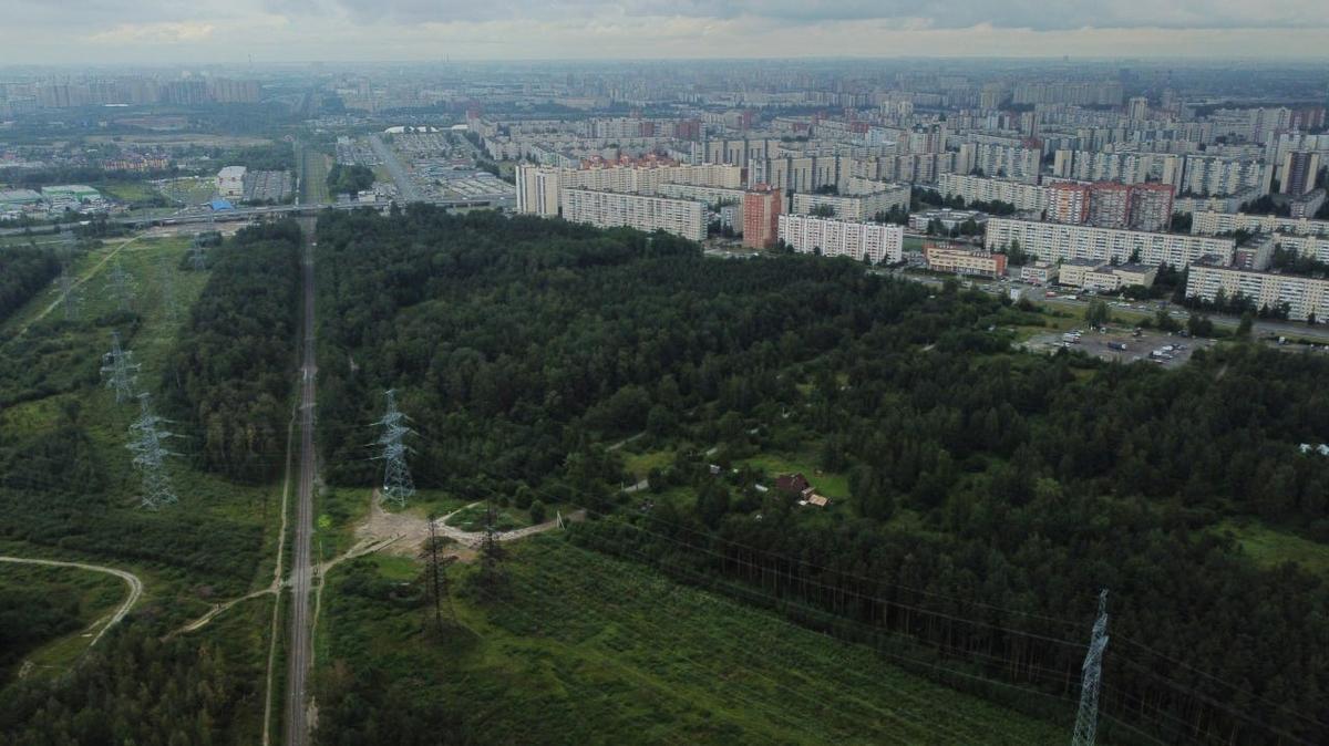 На границе Петербурга и Ленобласти создадут экопарк площадью более 30 гектаров