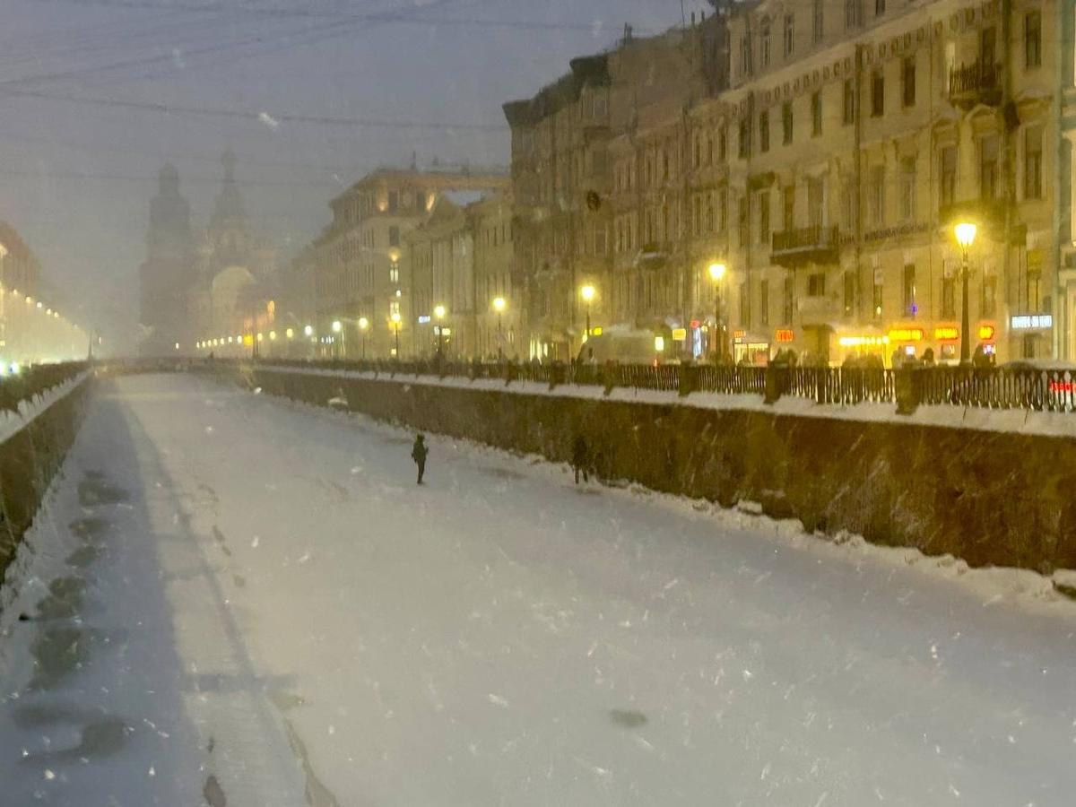 Фото: Дарья Дмитриева / MR7