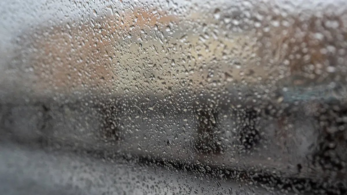 Фото: Олег Золото / MR7