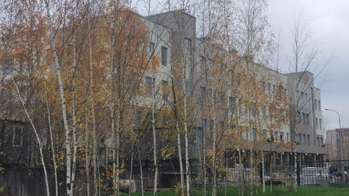 Фото: комитет по строительству Петербурга