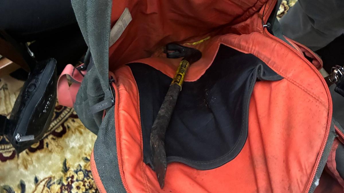 Фото: ГУ МВД по Петербургу и Ленобласти