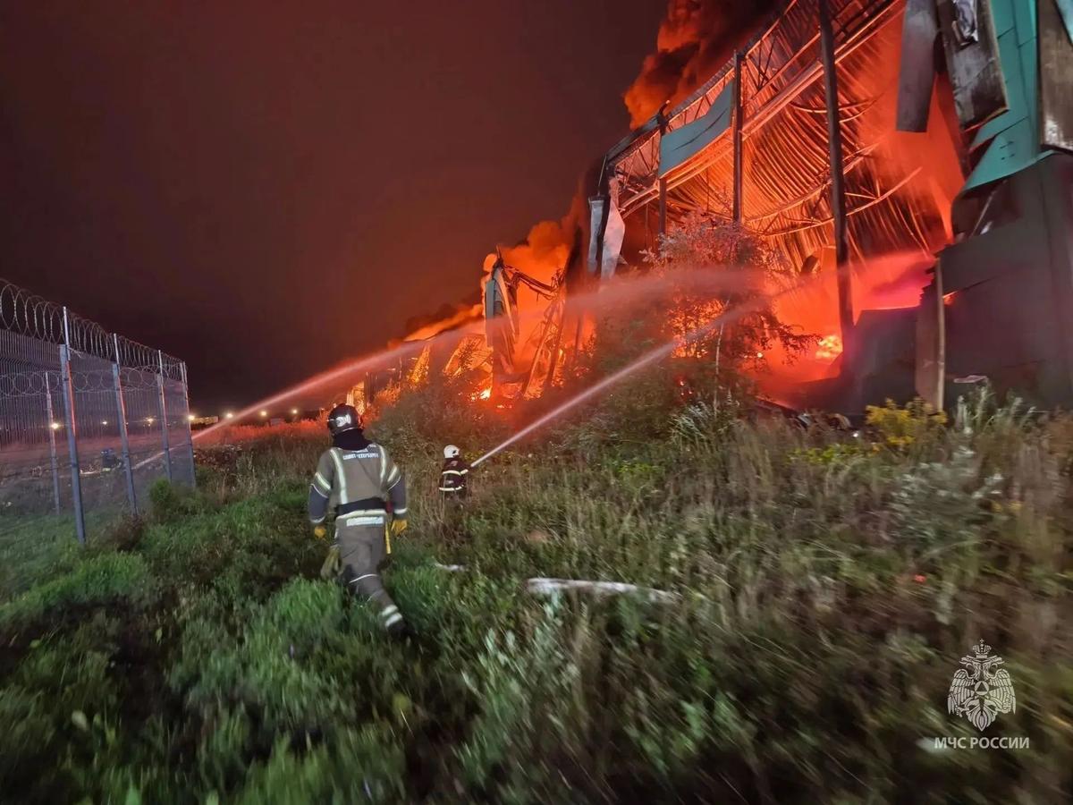 Фото: ГУ МЧС по Петербургу