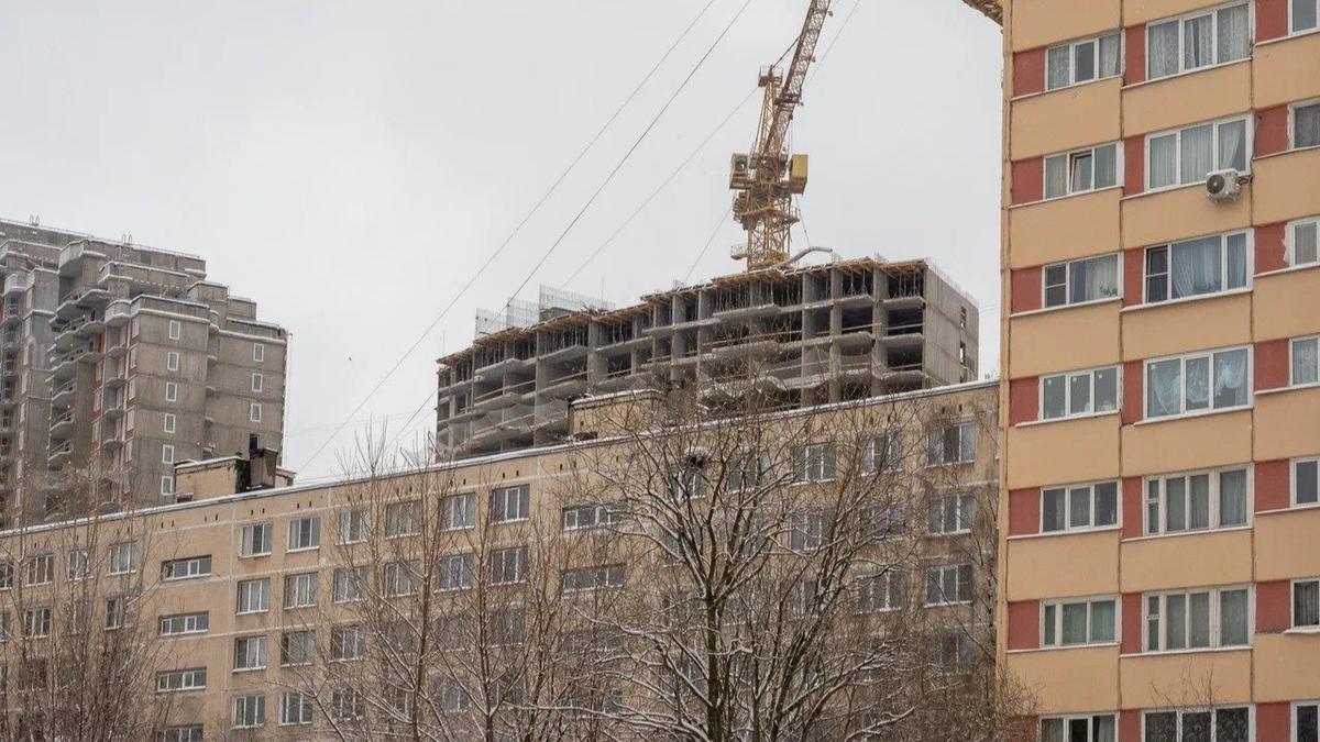 Фото: Олег Золото / МР7