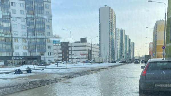 На Муринской дороге прорвало трубу с холодной водой