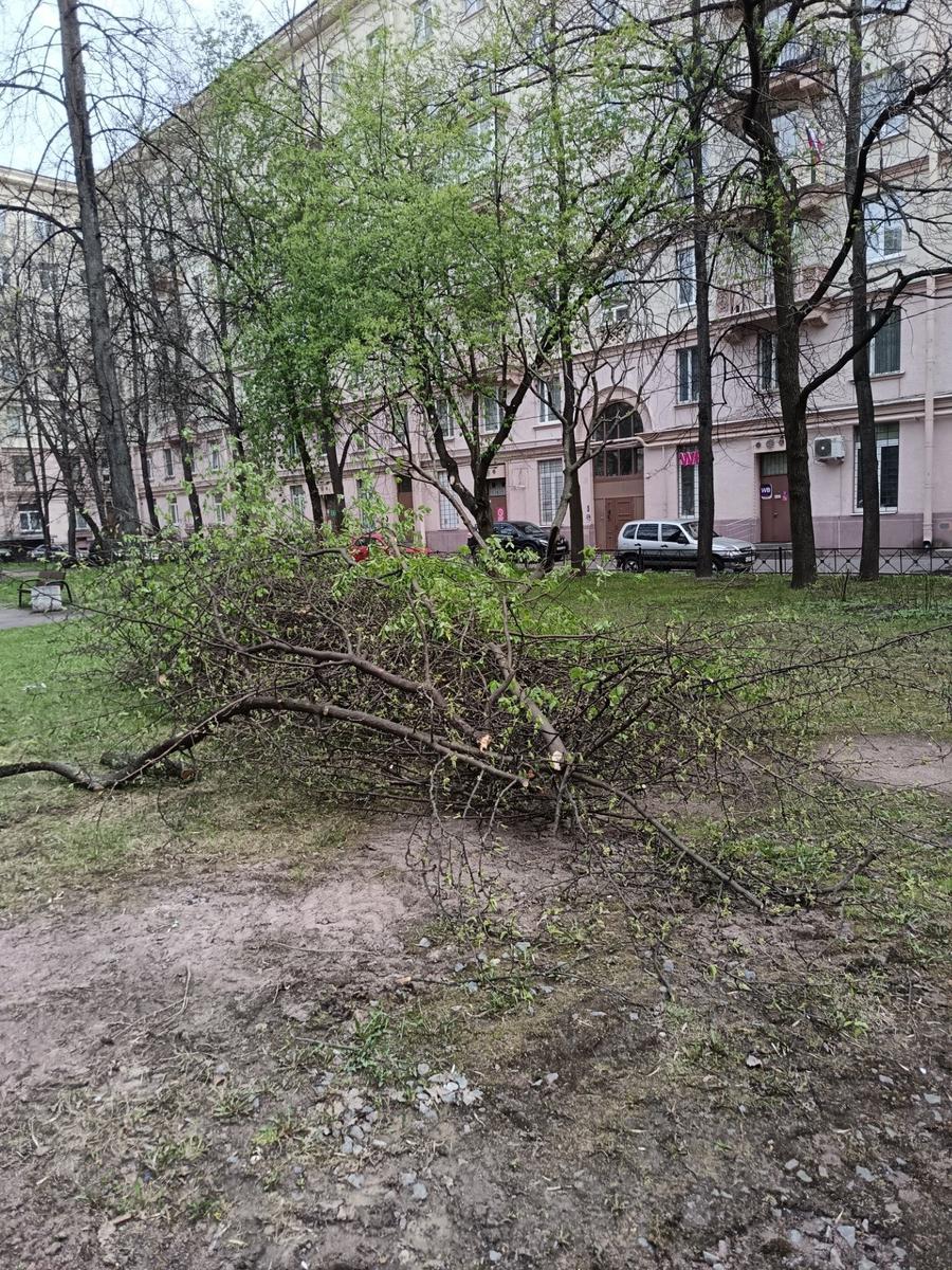 Фото: читатель МР7