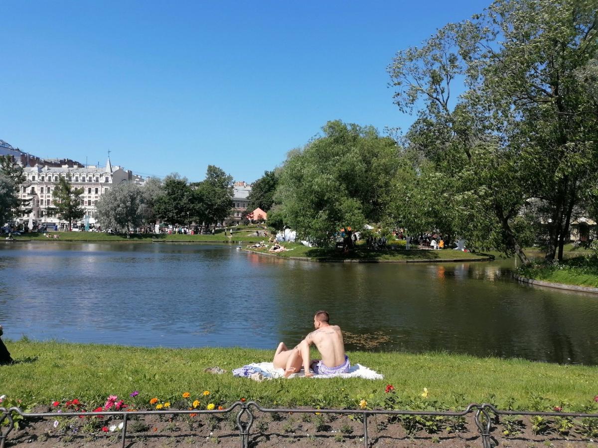 Юсуповский сад. Лето 2025 года. Фото: MR7