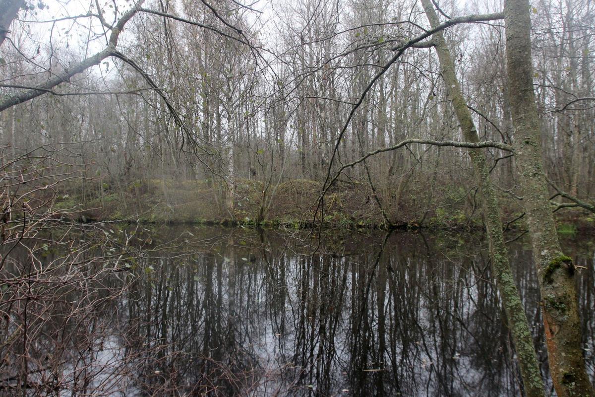 Фото: КГИОП