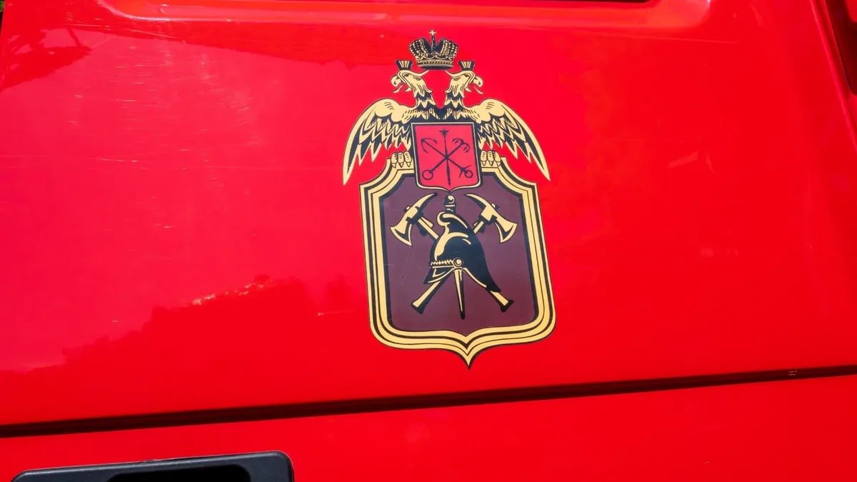 Фото: Олег Золото / МР7