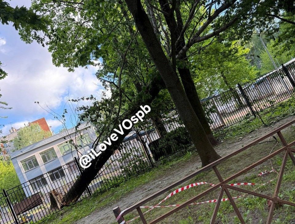 Проспект КИМа, 4Б. Фото: «Я люблю Васильевский остров»