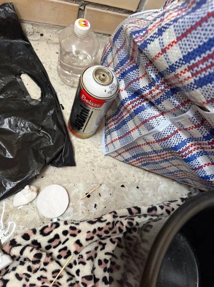 Фото: ГУ МВД по Петербургу и Ленобласти