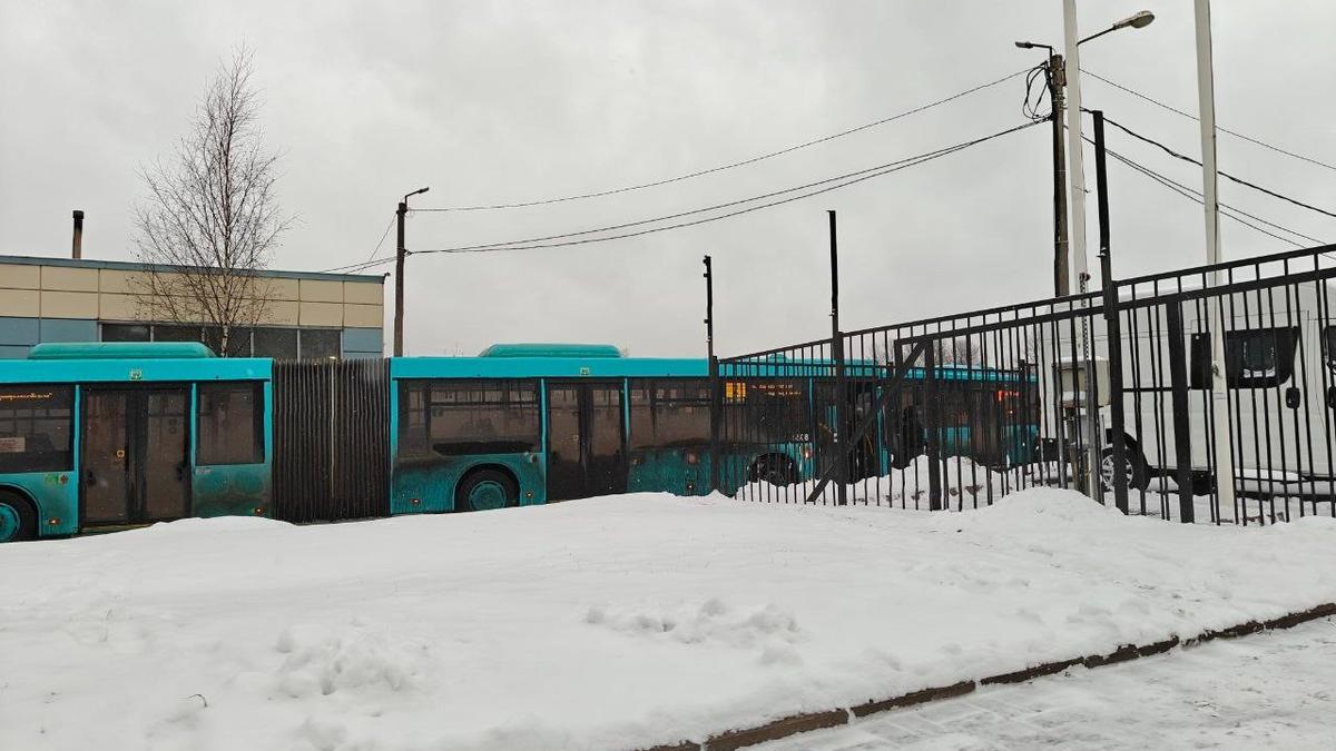 Фото: «Мегаполис»