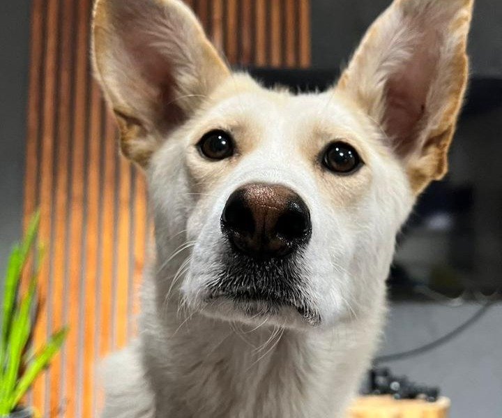 Мать-героиня. Фото предоставлено Мариной Сантаевой