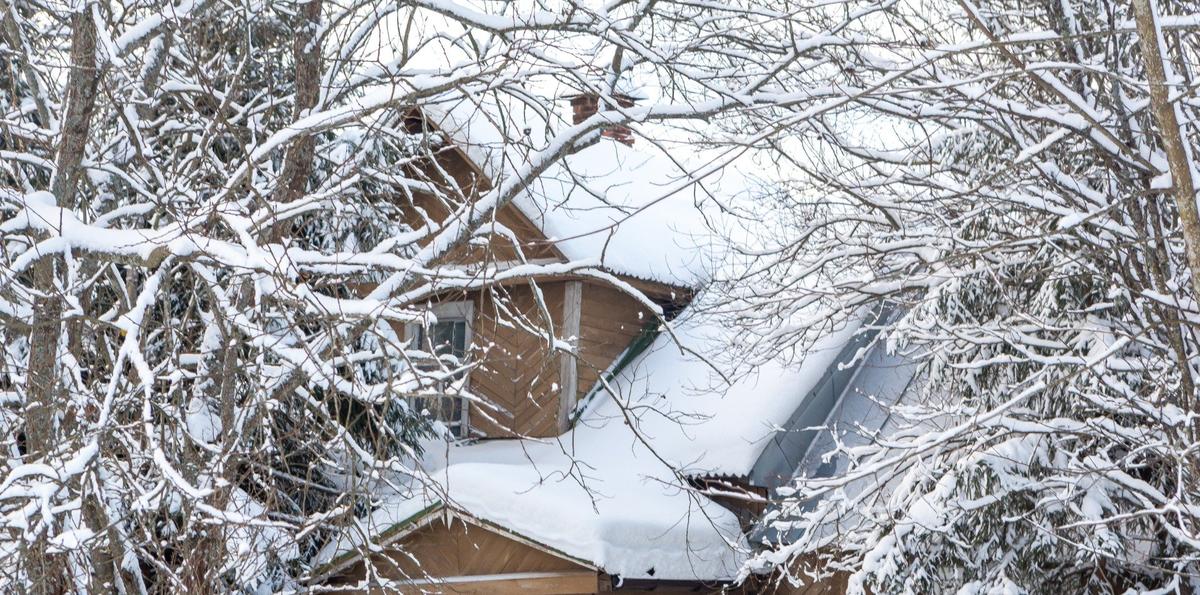 Фото: Олег Золото / MR7